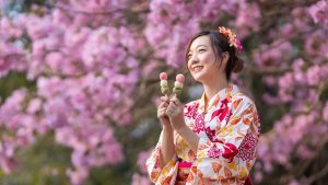 Hanami là gì? Khám phá văn hóa ngắm hoa anh đào của Nhật Bản